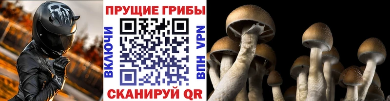 блэк спрут как войти  Белоусово  Псилоцибиновые грибы ЛСД 